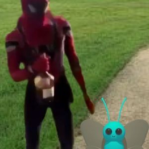 Meet your Posher, Taree